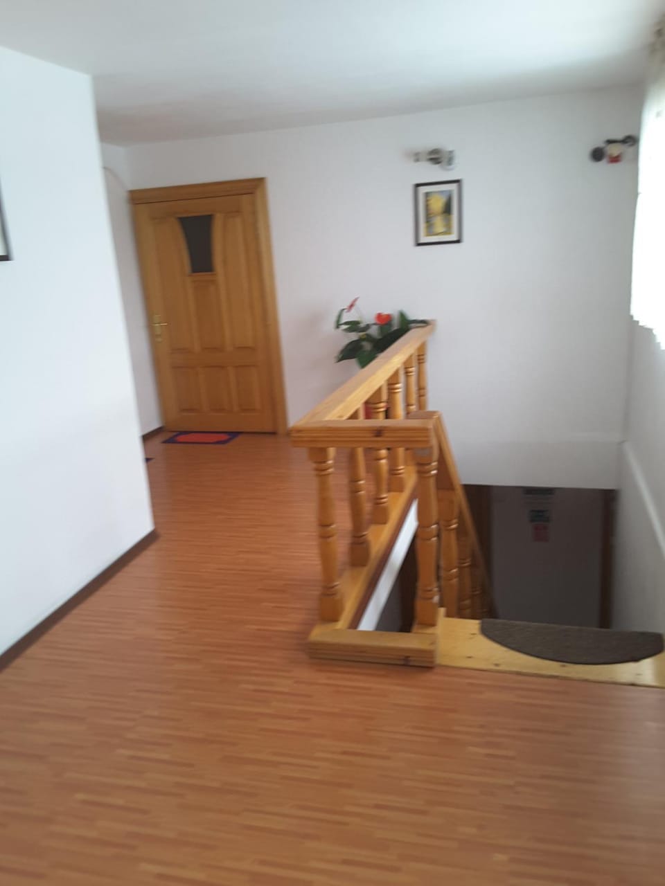 Camere de inchiriat EDELWEISS Bed and Breakfast in Romania