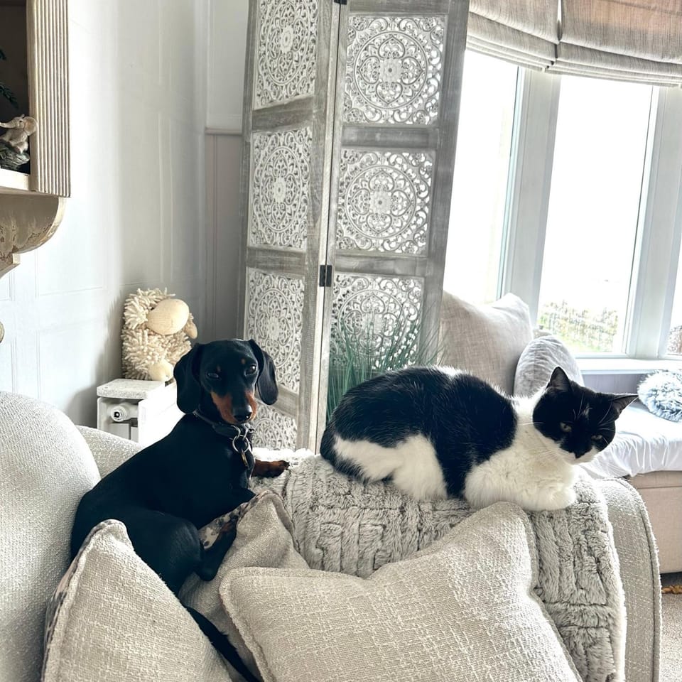 Living room, Pets