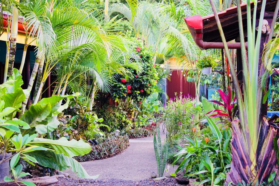 Facade/entrance, Garden