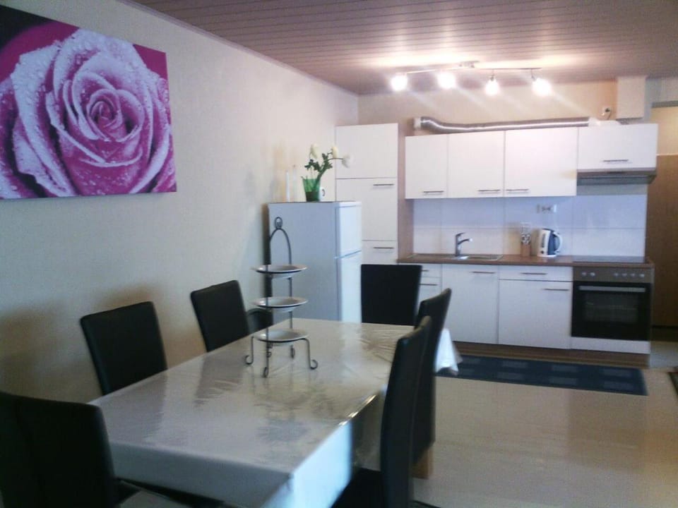 flats-4u - Cosy, quiet & clean flats in the city ( Apt. 11 ) Apartment in Bonn