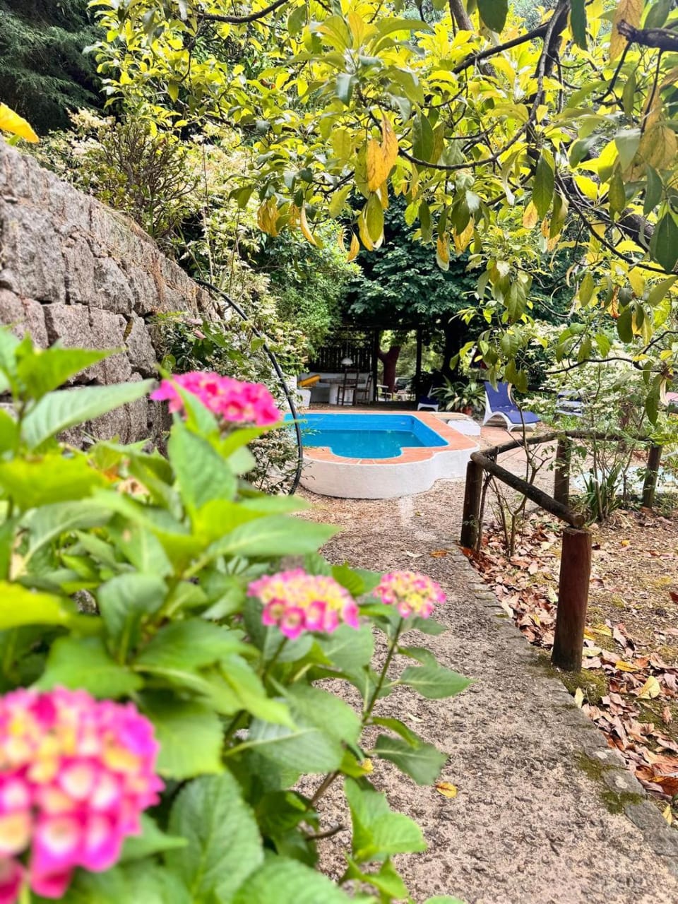 Spring, Garden, Pool view, Swimming pool