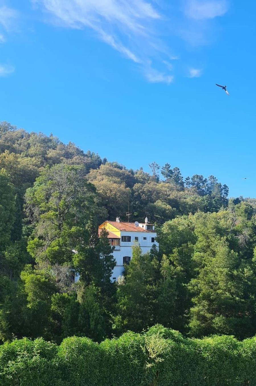 Property building, Day, Natural landscape