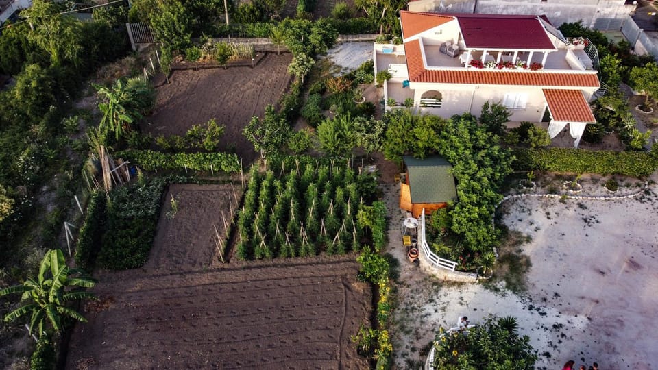 Michelino House Bed and Breakfast in Calabria