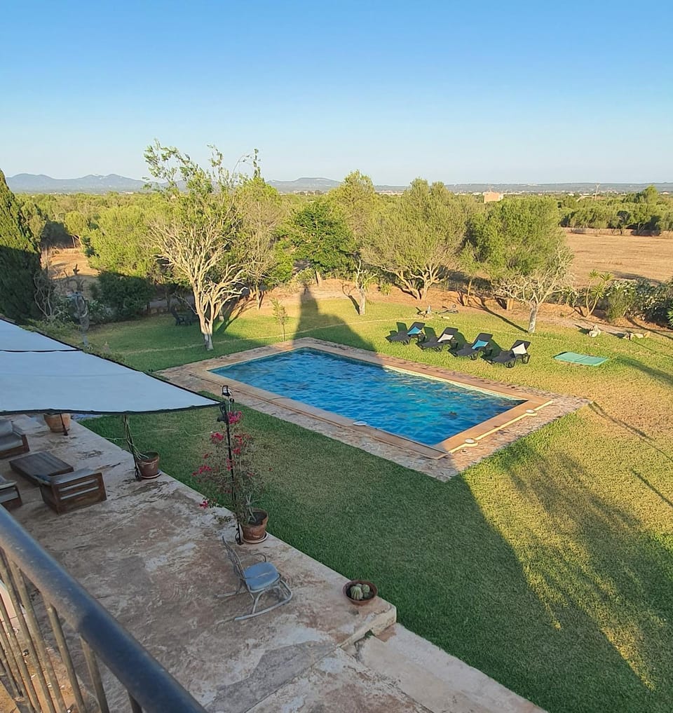 Pool view, Swimming pool