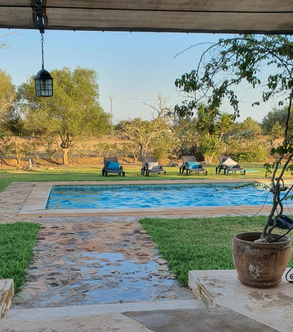 Pool view, Swimming pool