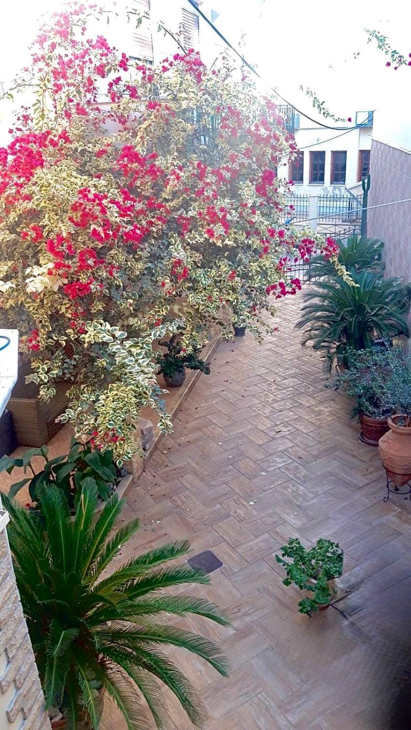 Mediterranean Apartment in Peloponnese, Western Greece and the Ionian
