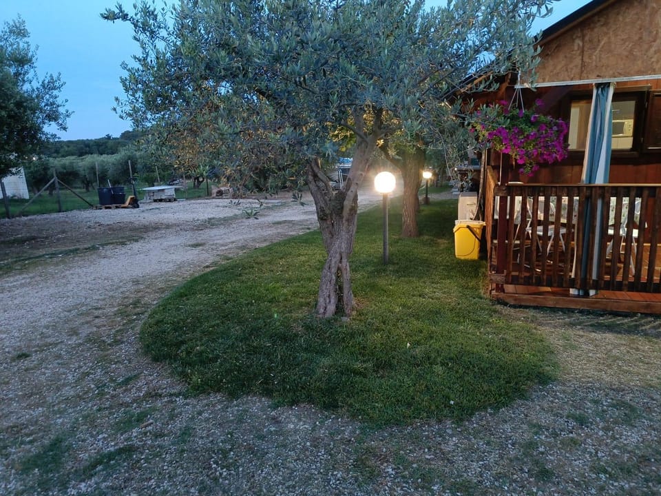 VILLA FELICIA Apartment in Abruzzo