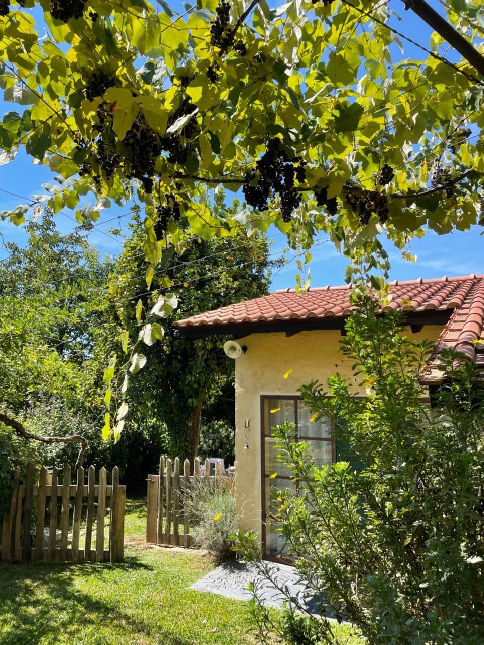 Property building, Garden