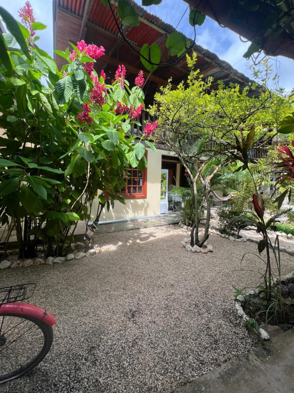 Spring, Garden, Garden view