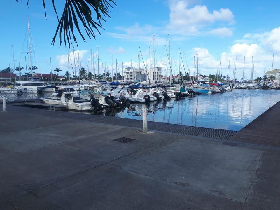 Day, Activities, Street view