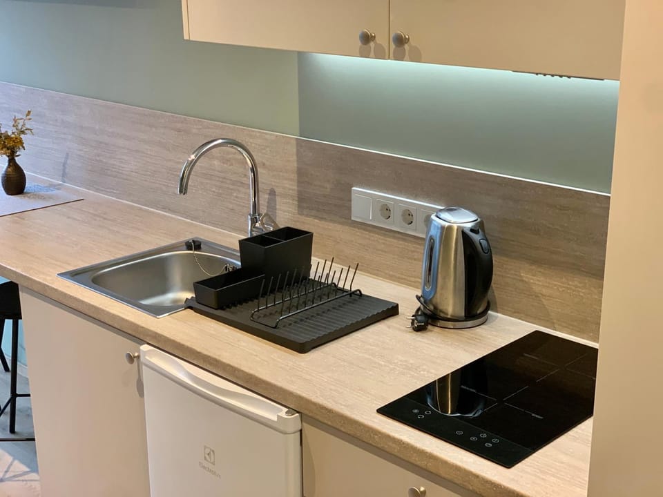 Poilsis Birutės alėjoje Apartment in Palanga