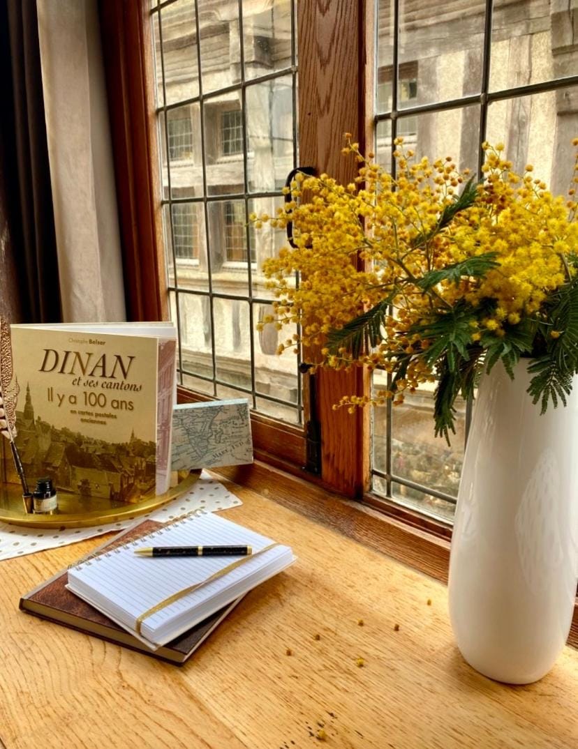 Magnifique appartement de charme au coeur historique de Dinan Apartment in Brittany