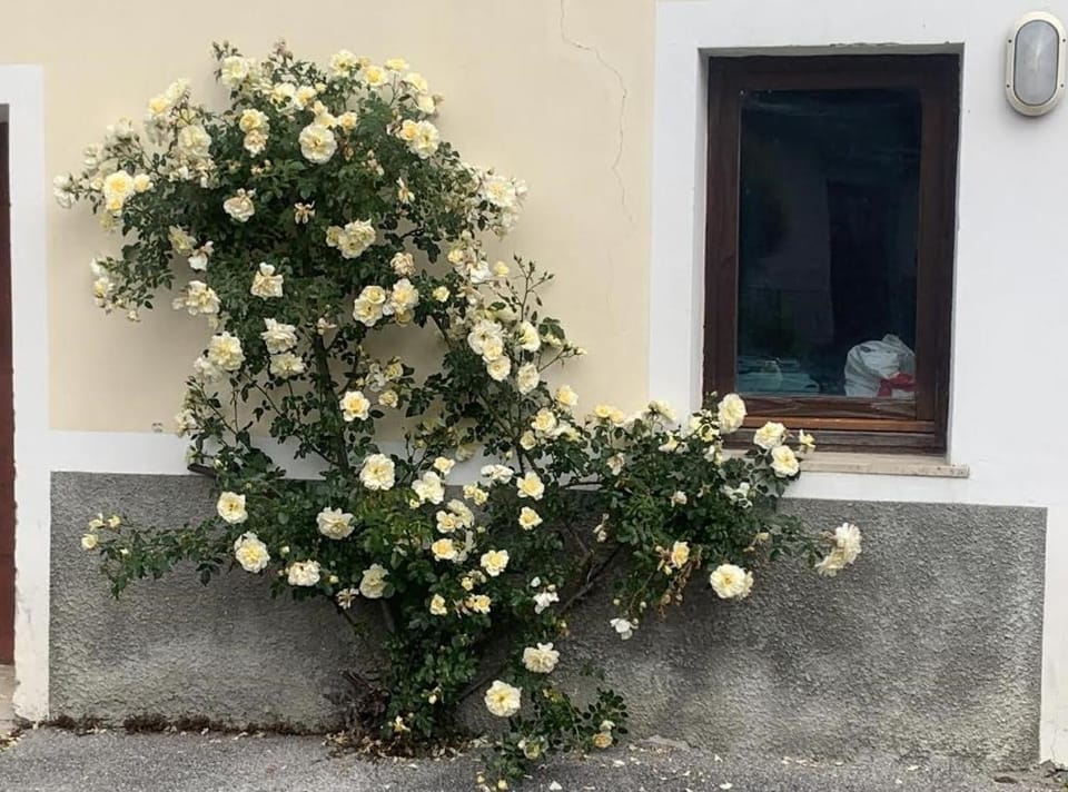 KLANC 19 Apartment in Bovec