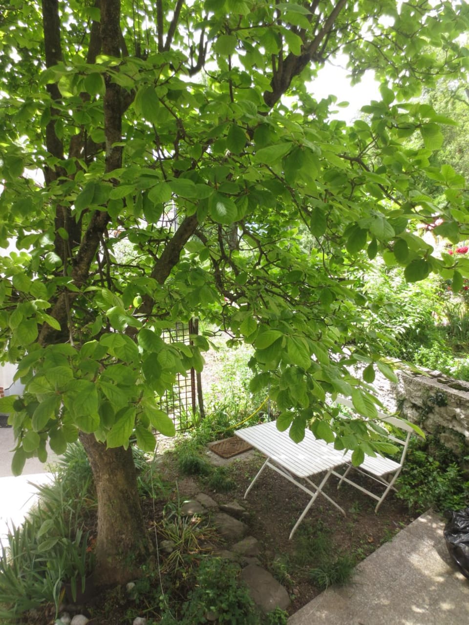 KLANC 19 Apartment in Bovec