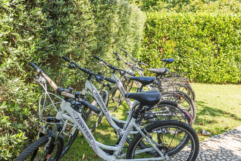 People, Activities, Garden, Cycling