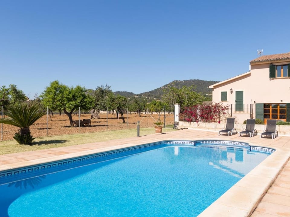 Swimming pool, Swimming pool