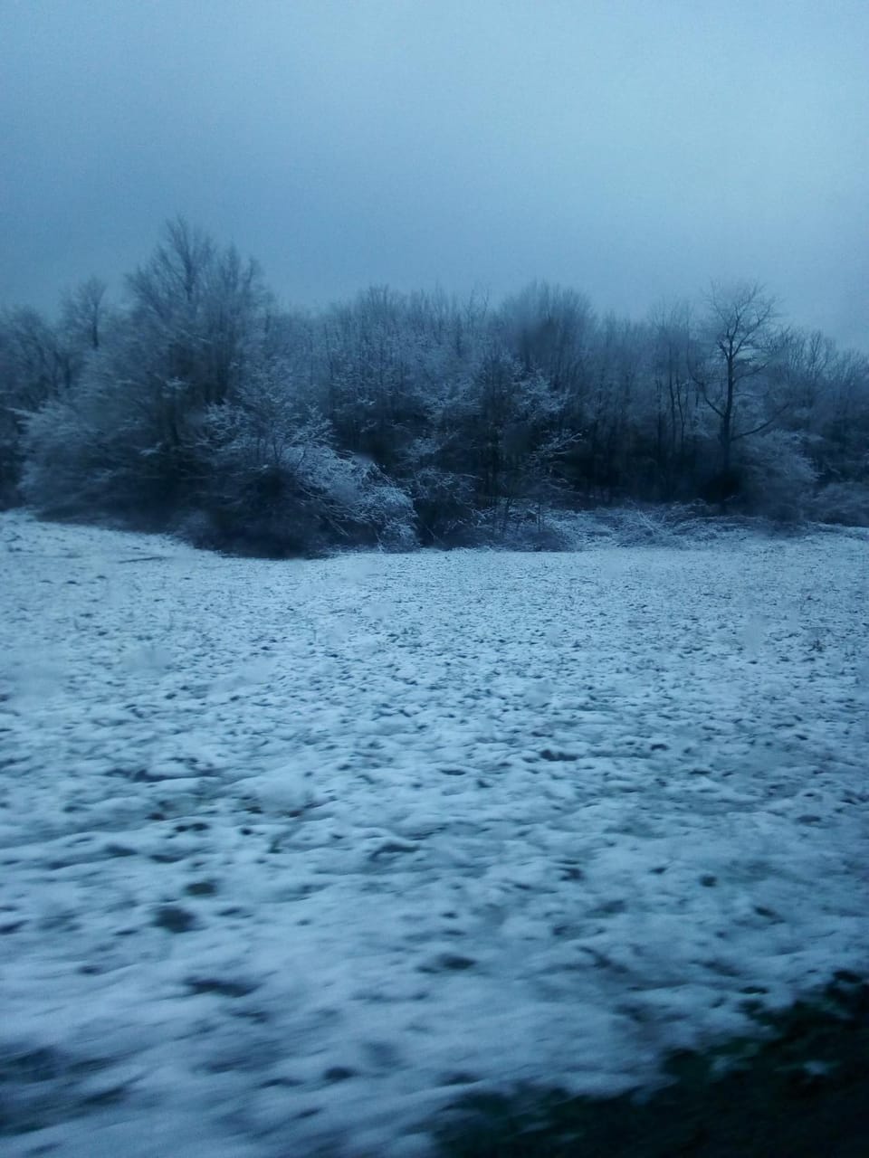 Winter