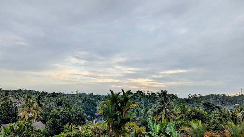View (from property/room)