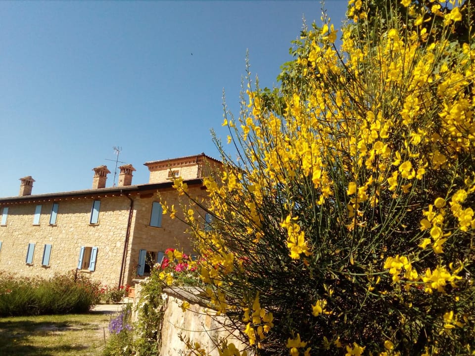 Property building, Spring, Day, Garden, Garden view