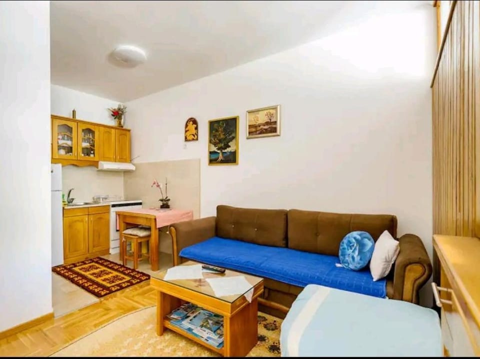 Apartman Borislava Apartment in Bosnia and Herzegovina