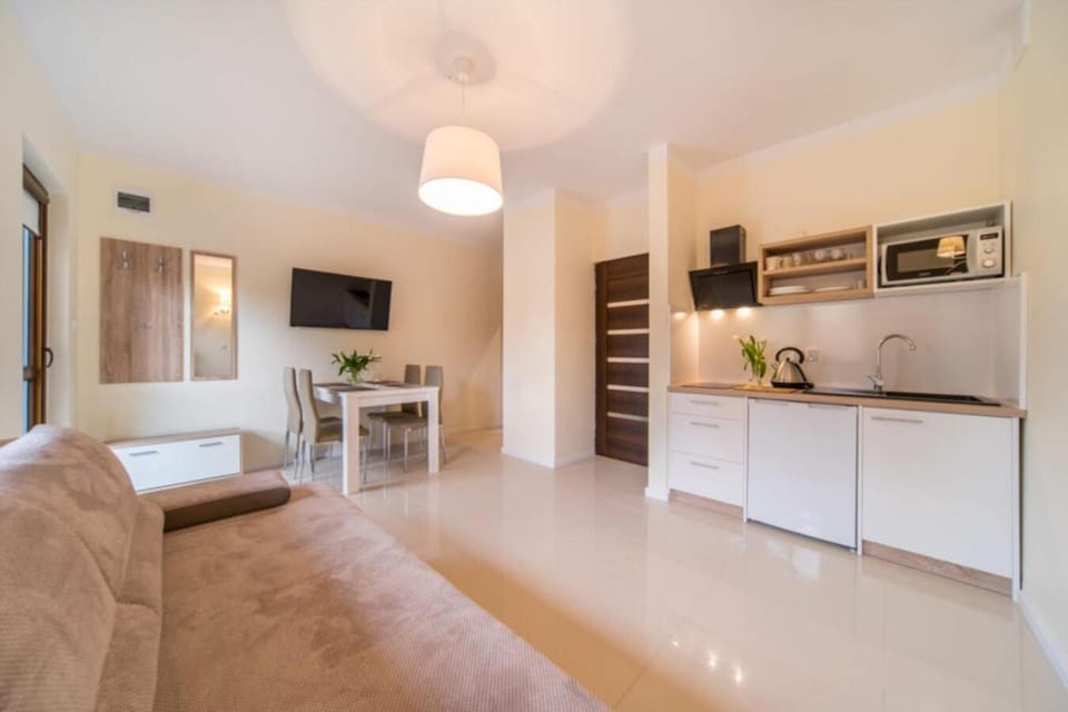 Kitchen or kitchenette, Living room, Seating area