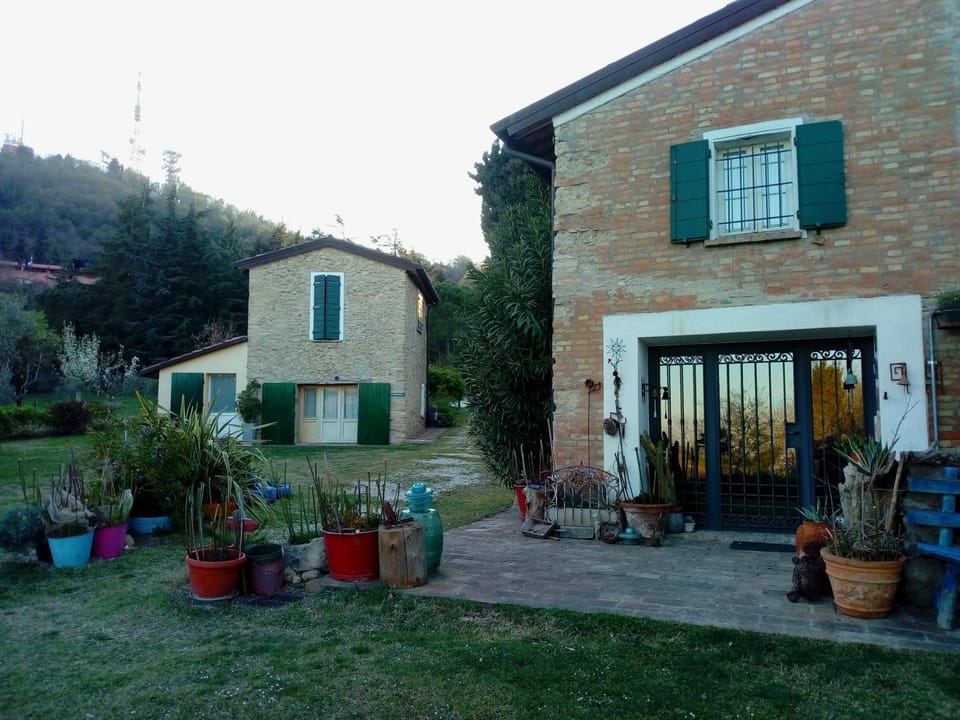 Garden view