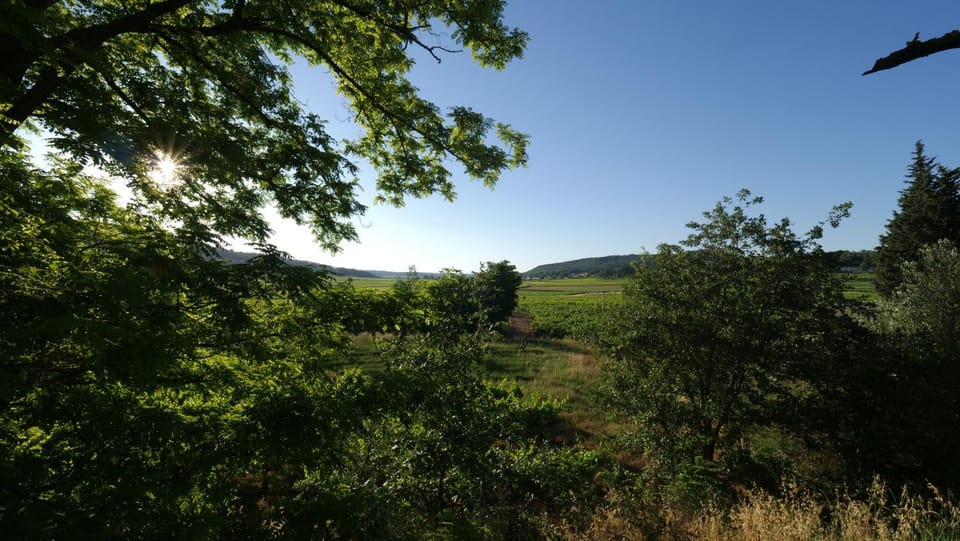 Natural landscape, Garden view