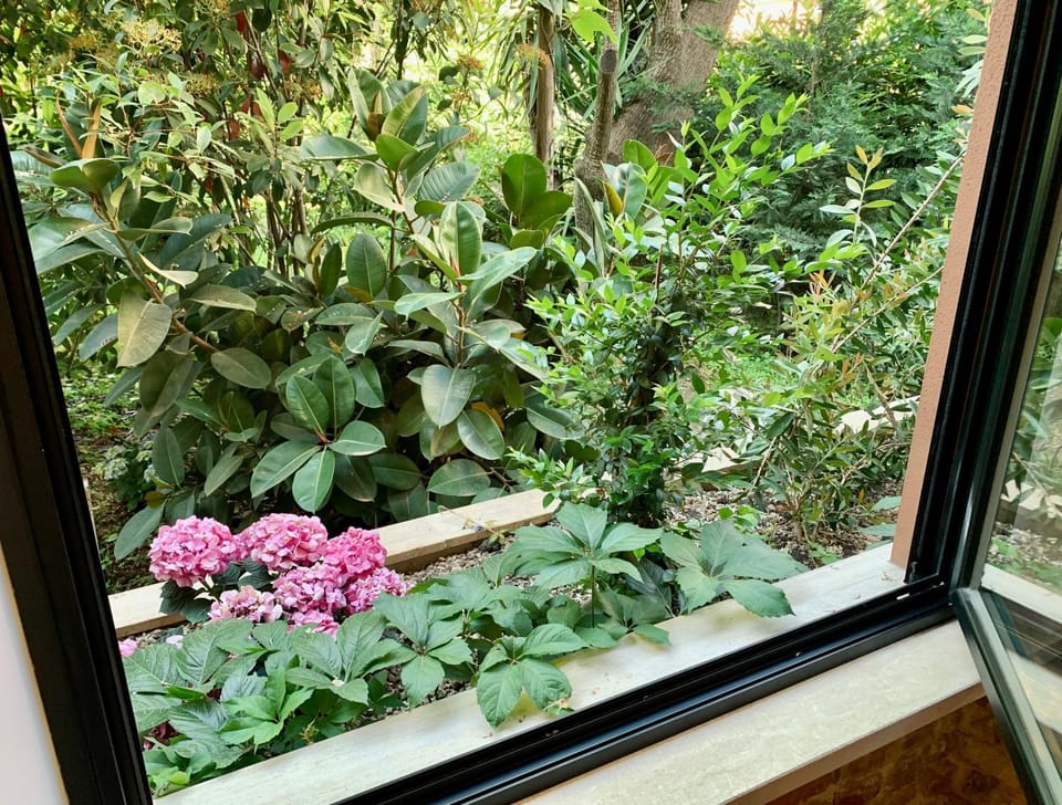 Garden, View (from property/room), Garden view