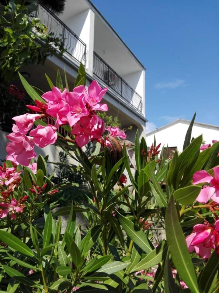 Adria 1 Apartment in Novi Vinodolski