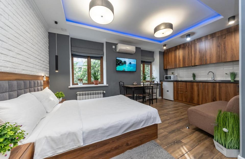 Bed, TV and multimedia, Kitchen or kitchenette, Photo of the whole room, Bedroom