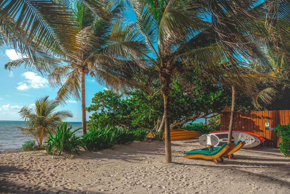 Beach, Beach