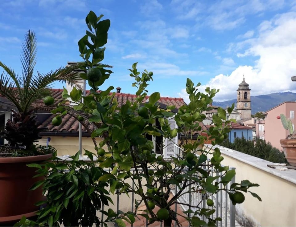 Via Roma Bed and Breakfast in Terni