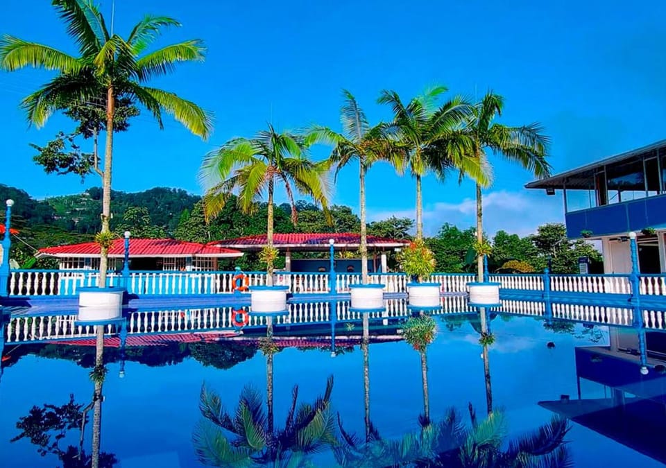 Swimming pool