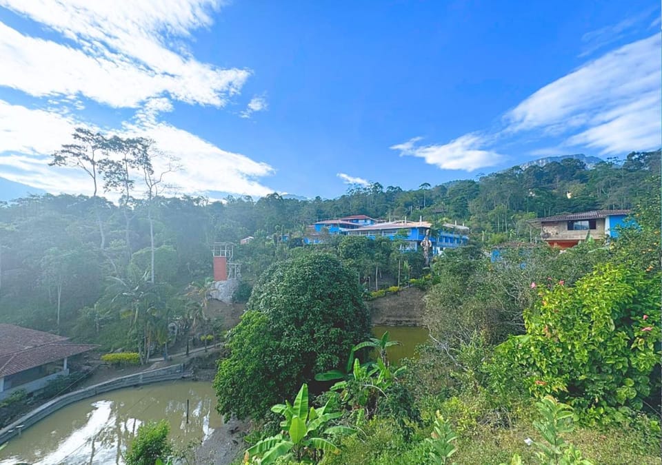 Mountain view