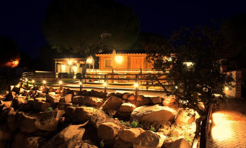 Night, wedding