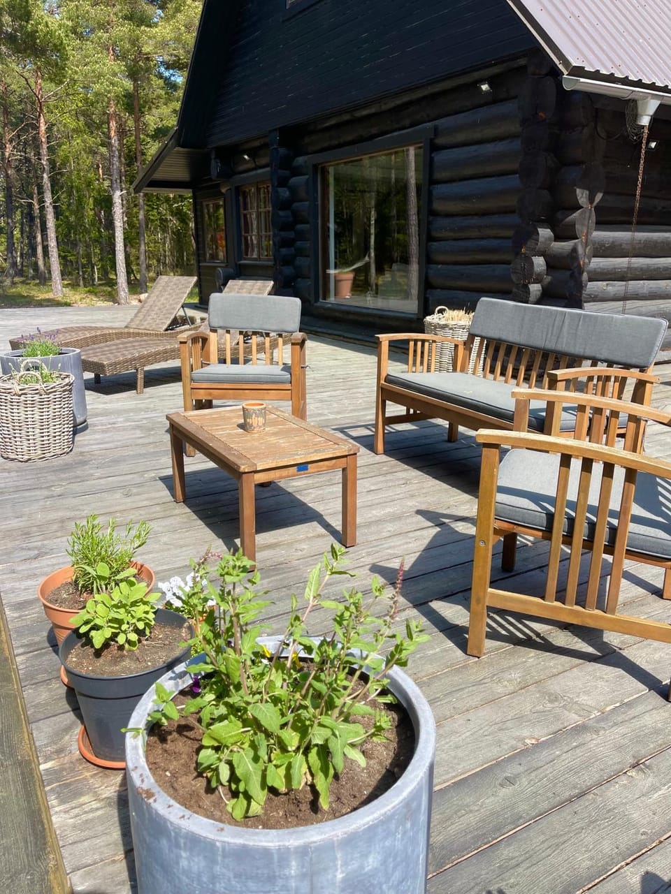 Wild Beach Spa Villa in Estonia