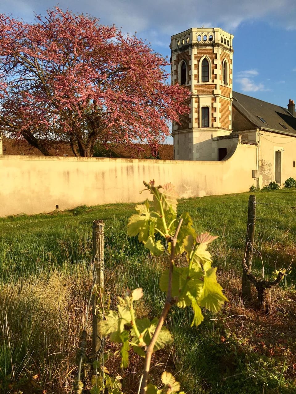 Garden view, Landmark view