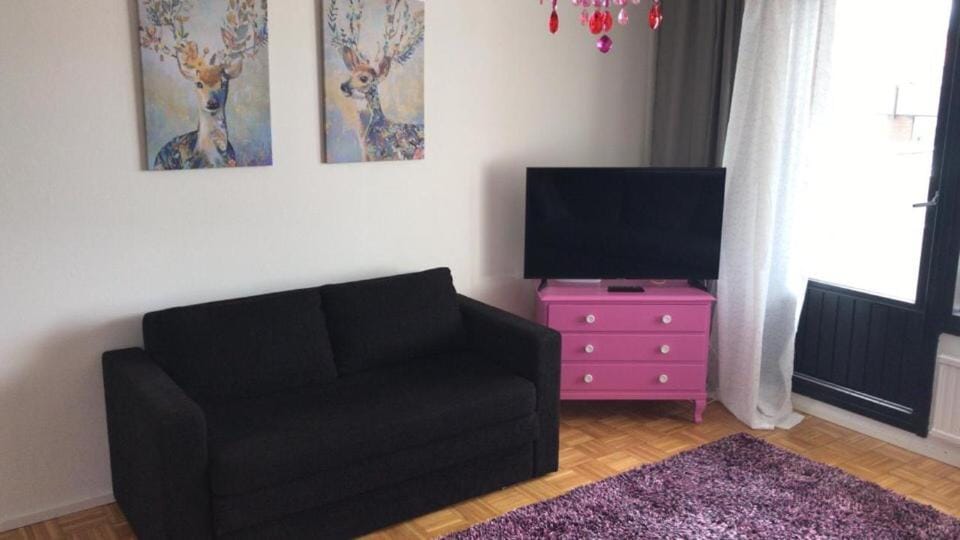 Mira Apartment in Finland