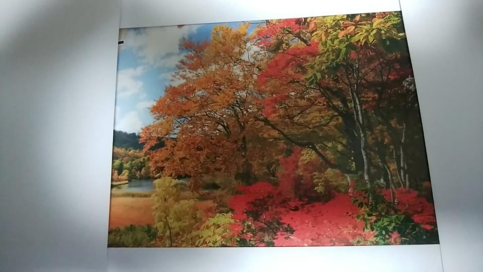 Mizubasho Bed and Breakfast in Japan