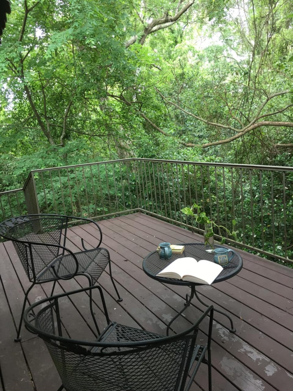 Balcony/Terrace, Garden view