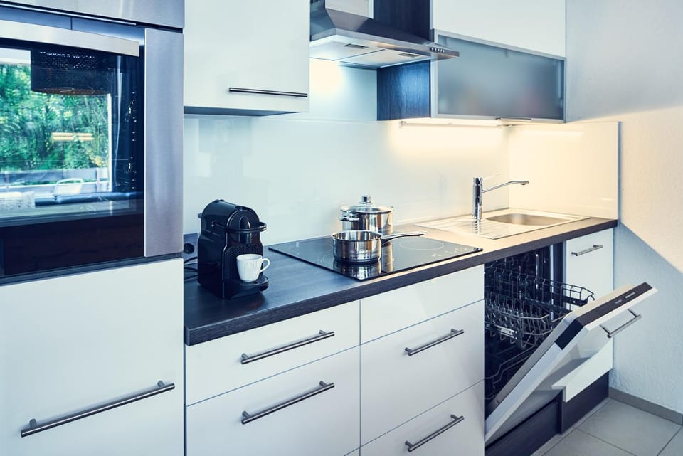 Kitchen or kitchenette, dishwasher