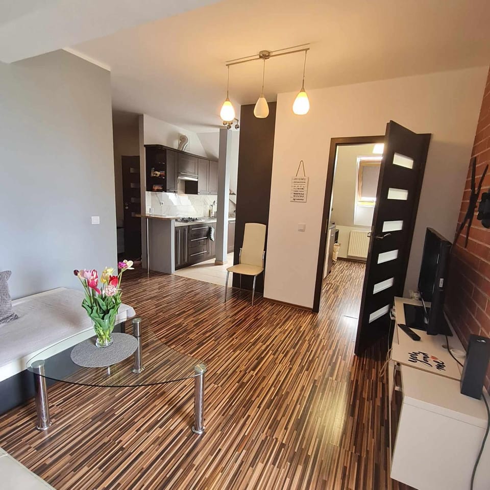 APARTAMENT WAKACYJNY U LENKI Apartment in Poland
