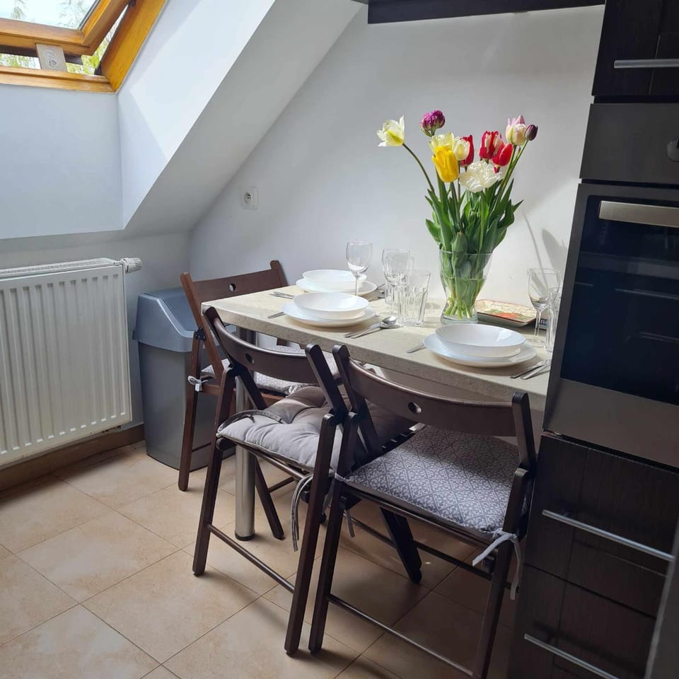 APARTAMENT WAKACYJNY U LENKI Apartment in Poland