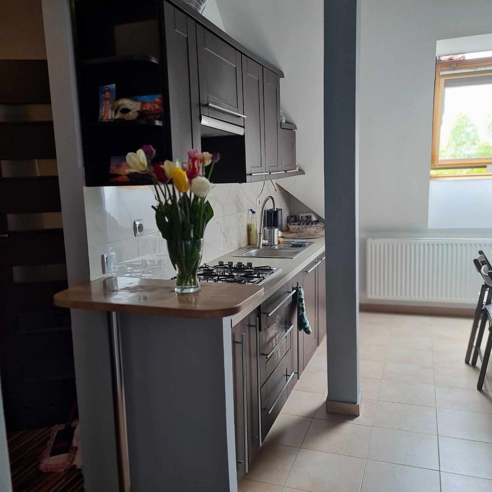 APARTAMENT WAKACYJNY U LENKI Apartment in Poland