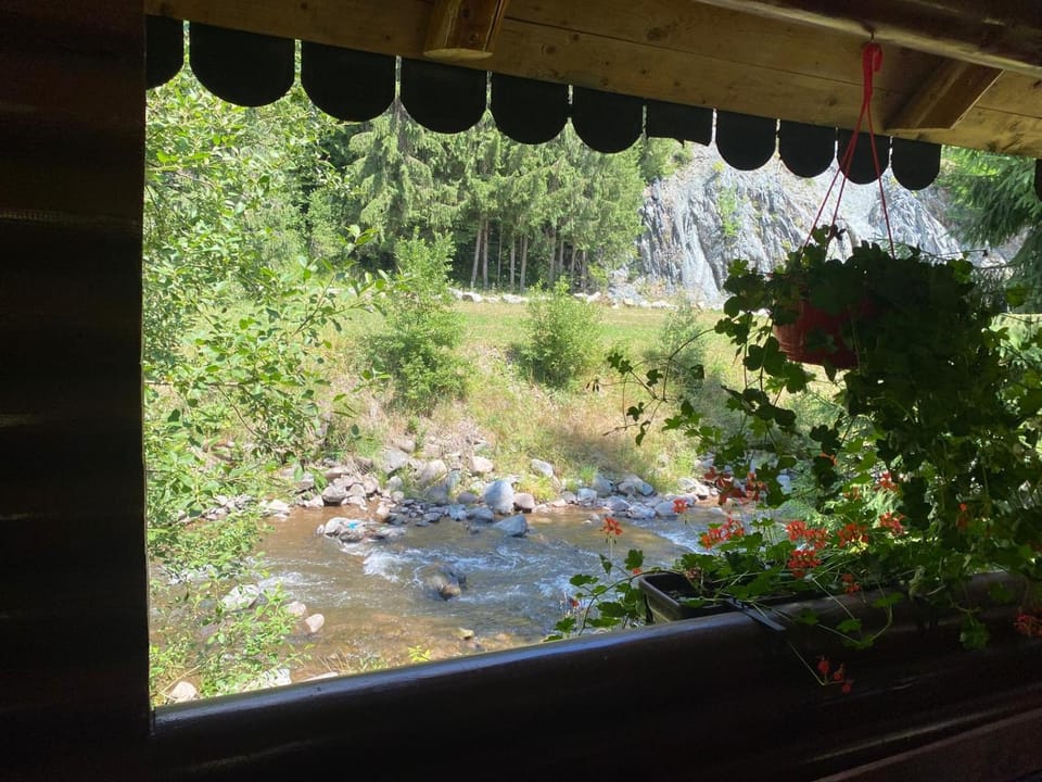 PENSIUNEA SIMONA ARIESENI Bed and Breakfast in Cluj County