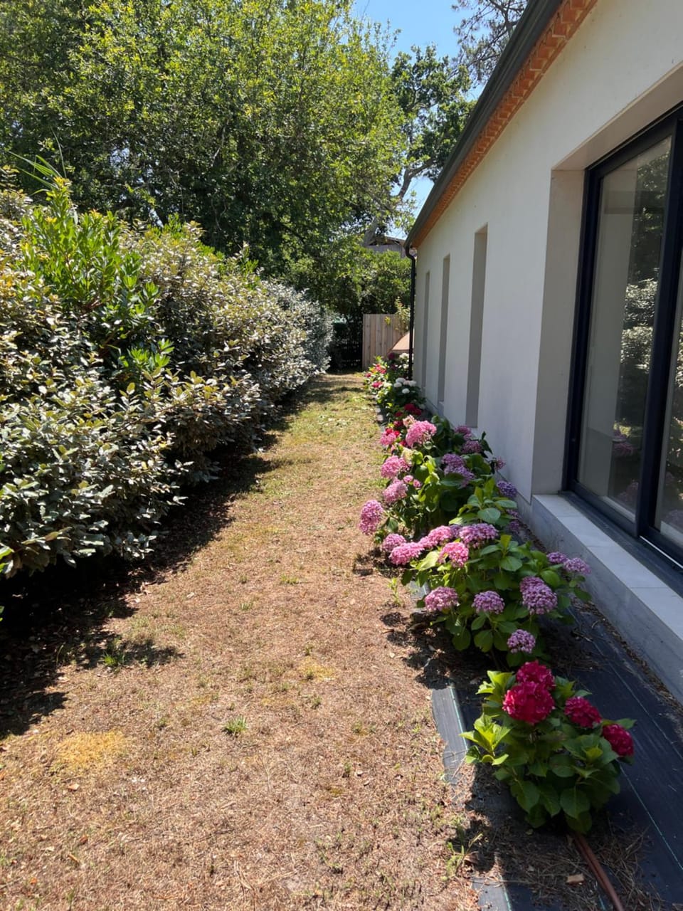 Spring, Garden, Garden view