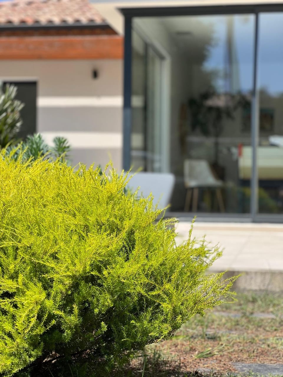 Patio, Garden