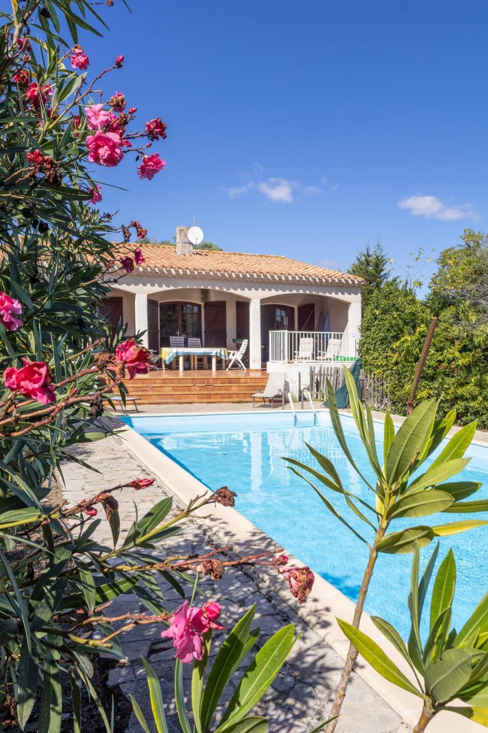 Patio, Garden, Garden view