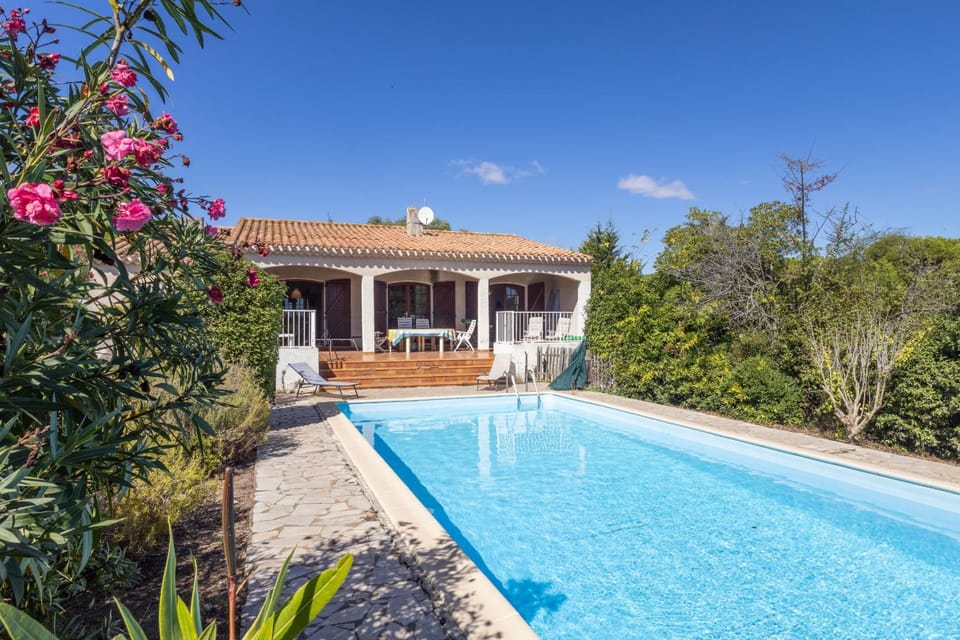 Patio, Garden, Garden view