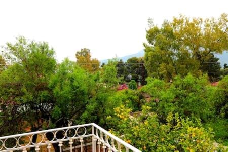 luxurious apartments Angelina Apartment in Karavomylos